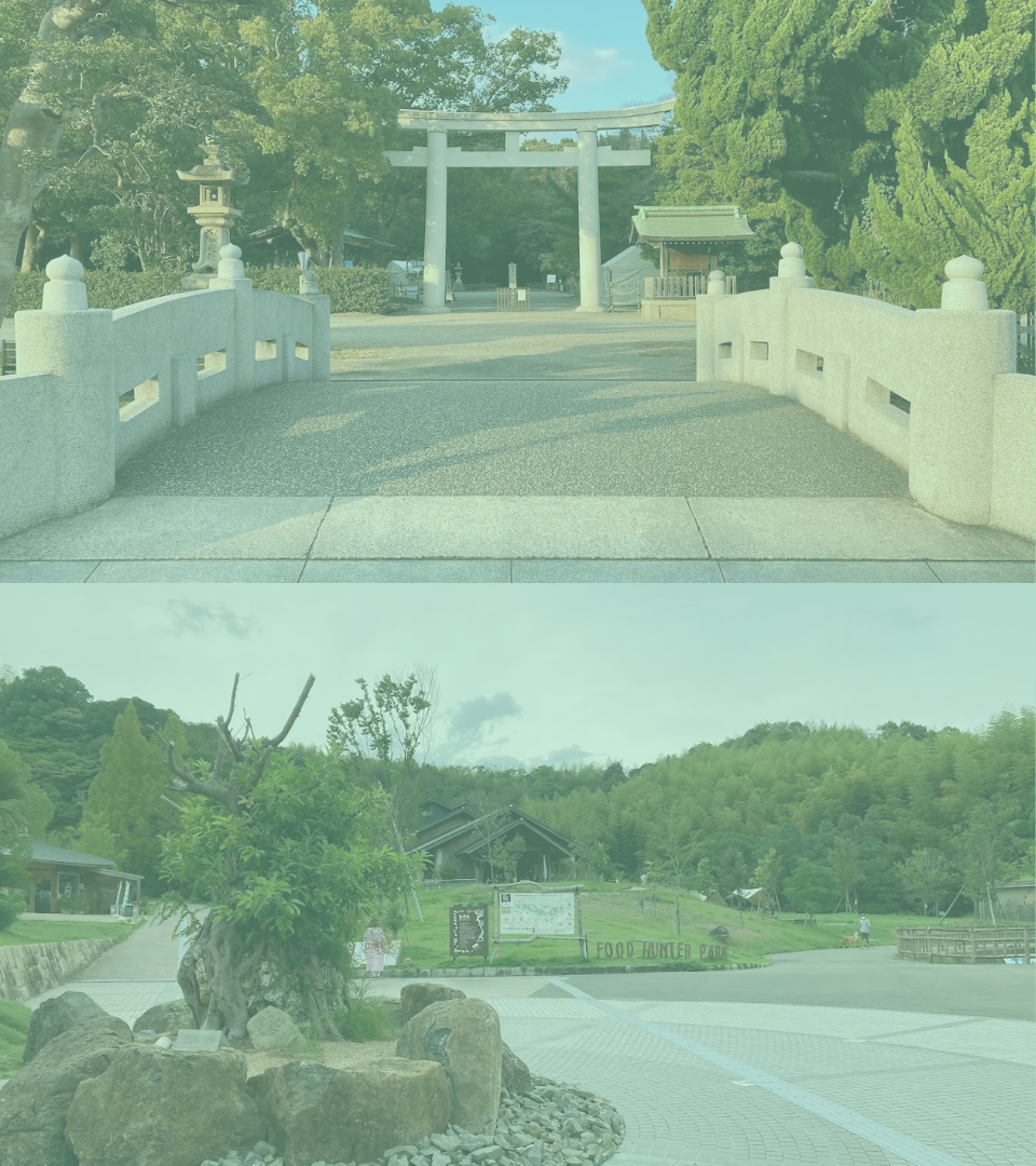 和歌山市