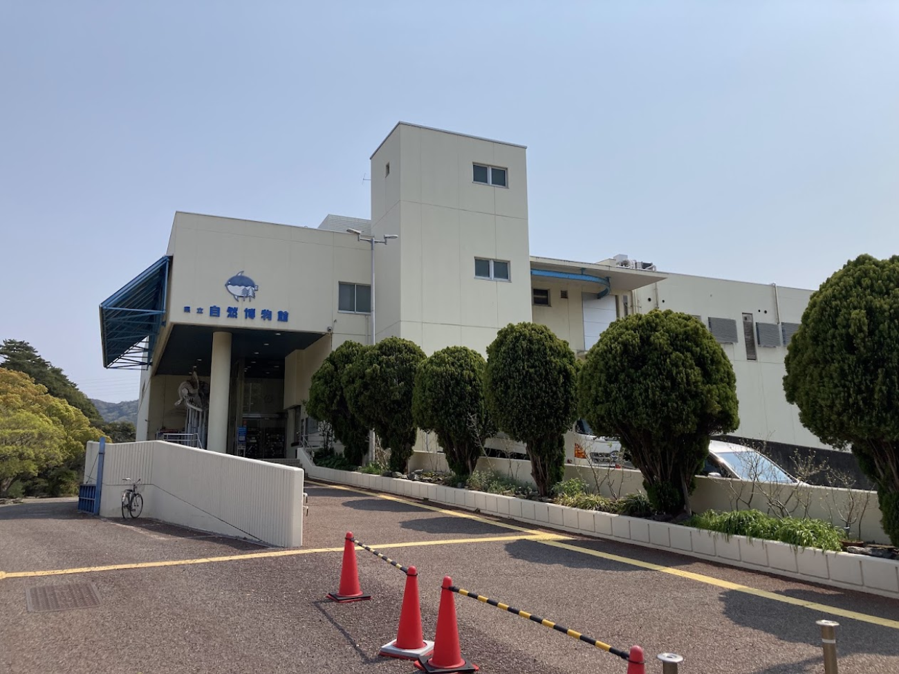 自然博物館